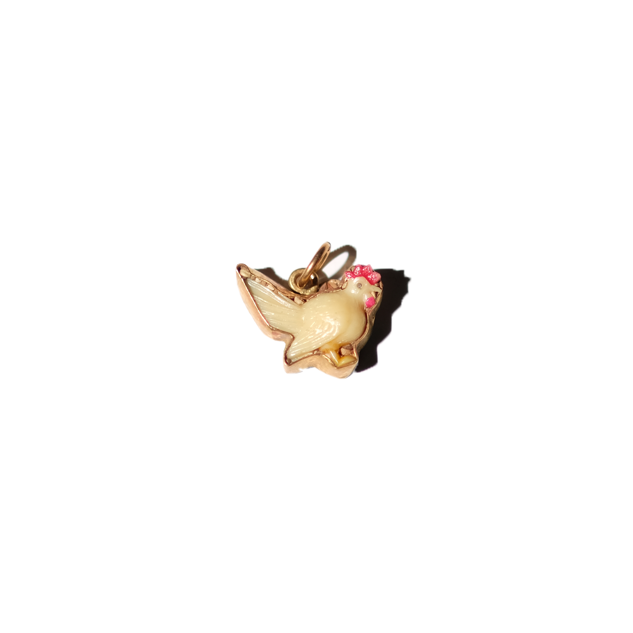 Baby Chicken